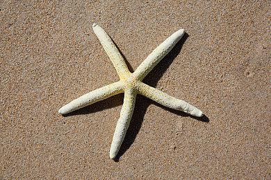 野心勃勃！卡普空预计《街头霸王6》可售出1000万套